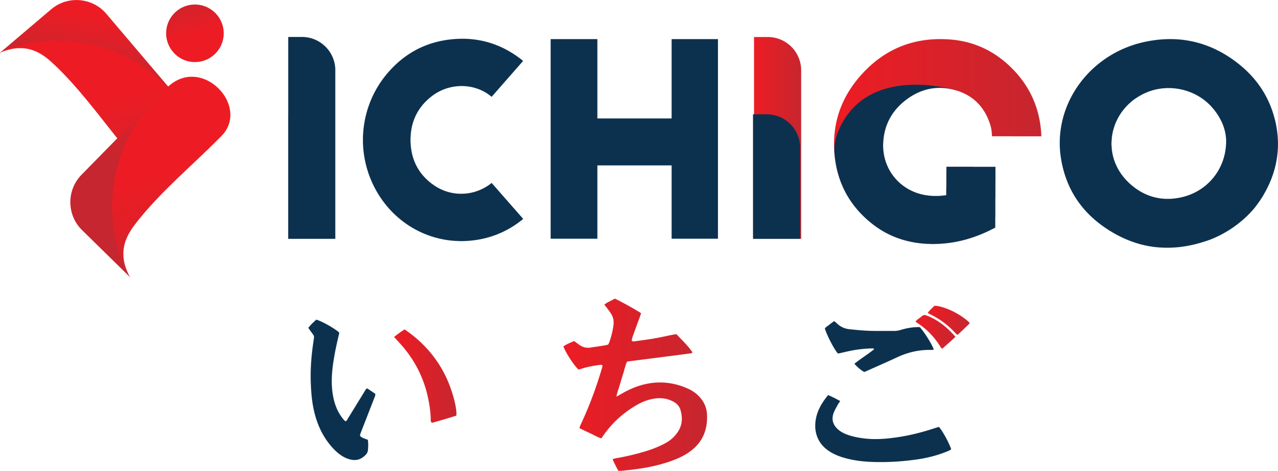 Giường y tế điện ICHIGO